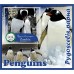Фауна Пингвины